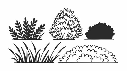Poster - Illustration of various bushes and grass tufts in black and white line art style for landscaping design created with generated ai