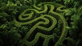 Aerial view of a green maze surrounded by dense tropical vegetation, creating a complex and intriguing pattern within the lush forest environment.