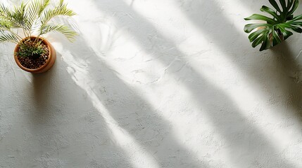 Poster - Sunlight on textured surface with plants