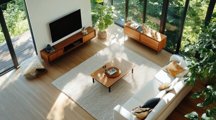 Poster - Modern living room design contemporary home interior decor green environment aerial view cozy ambiance for relaxation