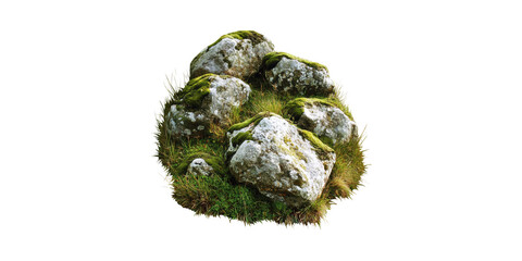 Wall Mural - moss-covered rocks and grass. natural landscape element for design isolated on transparent backgroun