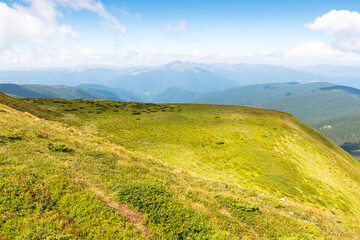 Wall Mural - scenic view in to valley. cumulus clouds above horizon. beautiful landscape of carpathian mountains 