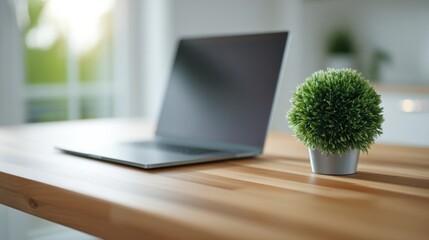 Fototapete - Laptop and Potted Plant on Wooden Desk in Bright Room, Symbolizing Productivity and Sustainable Business Practices : Generative AI