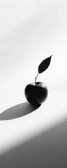 Wall Mural - a single, dark apple with a leaf sits on a bright white surface, casting a distinct shadow, illumina