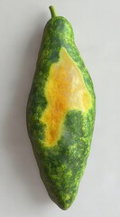 elongated green fruit with mottled dark and light green skin and a large patch of yellow discolorati