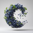 © Natchanok - Blueberries in Water Wave Still Life Studio Shot on White Background Food Photography Fresh Fruit Composition