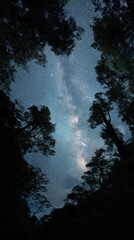 Poster - Milky Way Galaxy Shines Above Forest Canopy Low Angle View Night Sky Photography Starry Scene Nature Landscape