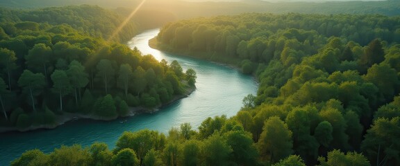 Poster - River meanders through a dense forest illuminated by sunlight. Scenic view. Untouched nature. Tranquil waterway.