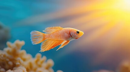 Poster - Softbox  Golden Hour light, shimmering aqua hues, spirited vibes, vivid side lighting, macro focus.