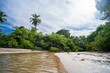 © Wirestock - Tropical beach with lush greenery and palm trees.
