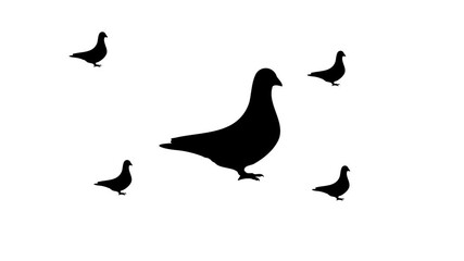 Poster - zoom in and out animation the bird pigeon symbol. large black symbol in the center and four small sy