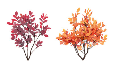 stewartia sinensis, cotinus grace smoke bush summer autumn tree, isolated cutout png, vector illustr