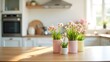© mukuro - Cozy Kitchen Still Life with Pastel Flowerpots on a Wooden Table, Minimalist Home Interior
