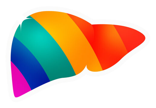 Liver logo, Pride month, LGBTQ+ icon PNG, Liver care, Simple illustration, Pride parade PNG