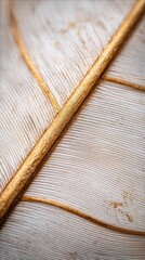 Aufkleber - Close up of a Feather with Gold Accents Macro Shot of Delicate Texture and Detail