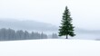 © nuanjan - Serene winter landscape lone tree in snow covered expanse embracing the tranquil beauty of nature