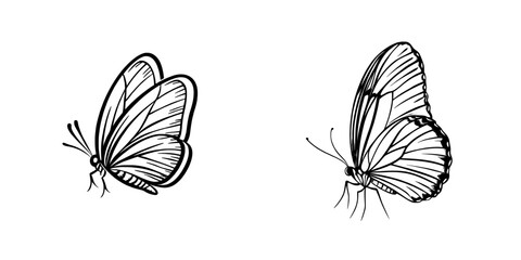 Poster - Butterfly icon with a modern twist, characterized by clean and minimalistic pictogram design elements