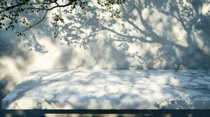 Poster - Marble Tabletop Display Against Textured Wall with Tree Shadows Product Mockup Minimalist Style