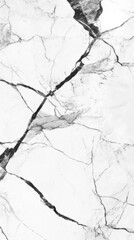 Poster - Elegant White Marble Texture with Dark Veins Close Up Shot for Backgrounds and Design Elements in Interior Design