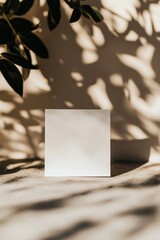Aufkleber - Square card mockup presentation on concrete surface with leaf shadows in warm sunlight studio shot