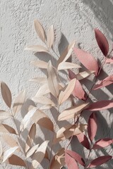 Poster - Elegant botanical arrangement featuring pink and beige leaves against textured wall in soft light studio shot