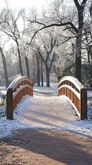 Poster - Winter Wonderland Landscape of Wooden Bridge in Park with Snow Covered Trees on Sunny Day