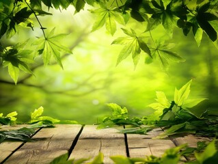 Wall Mural - Wooden surface with green leaves in a bright forest setting, eye-level perspective, natural light and bokeh