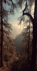 Aufkleber - Misty Mountain Range Through Pine Trees in Golden Light, Illustrating Natural Beauty and Environmental Conservation : Generative AI