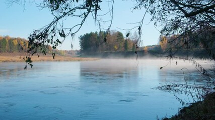 Aufkleber - Autumn grass and trees with water drops swaying slowly against the background of flowing water in a misty river, meditation of calmness and contemplation of nature concept