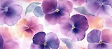 Watercolor floral pattern of pansies in varying shades of purple and pink