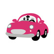 © Griyolabs - Various Cars or vehicles. Different types of mini car sedan