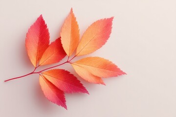 Poster - capture set of autumn leaves displaying vibrant colors blending seamlessly against minimalistic clean background