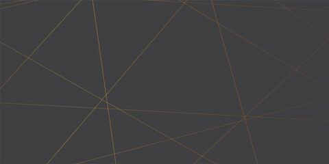 Poster - Luxury premium shiny golden lines on dark background. Geometric luxury golden banner, template, t-shirt design. Vector, illustration