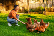 © Home-stock - Excited female farmer feeding chickens from bio organic food in the farm backyard outdoors. Poultry farming, small local business