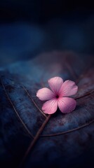 Aufkleber - Delicate Pink Flower Resting on a Textured Leaf, Moody Lighting, Close-Up Shot, Artistic Still Life, Nature's Beauty