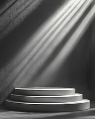 Poster - The product presentation features a cosmetic gray background and a premium podium display for branding and packaging, set against a studio stage with a shadowy background and a modern design