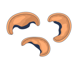 Poster - three brown mushroom caps sliced 2d cartoon object. edible fungi. cooking ingredients. vegan protein