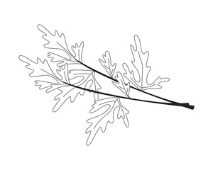 Aufkleber - fresh parsley herb leaves with stems 2d line object. cilantro culinary leafy sprig. garnish plant. h