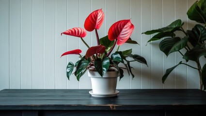 Wall Mural - greenery in white flowerpot placed on a white table and background reflects hospitality