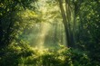 © Rayhanbp - Sunlight streams through a vibrant dense forest canopy illuminating the verdant ground