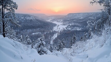 Wall Mural - panoramic winter sunset over a snow-covered valley, viewed from a high vantage point. frozen trees a