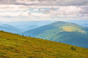 Wall Mural - summer landscape with mountain range in cold weather. scenic view of the uzhanian national park vall