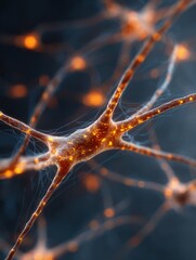 Leinwandbilder - neuron cell body with dendrites firing signals close up microscopic view science and medicine concep