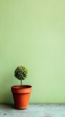 Poster - Potted Topiary Plant Against Light Green Wall Still Life Close Up Minimalist Aesthetic Indoor Gardening Concept