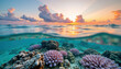 © Aleksei Solovev - A serene underwater scene with vibrant corals and a stunning sunset above the horizon.
