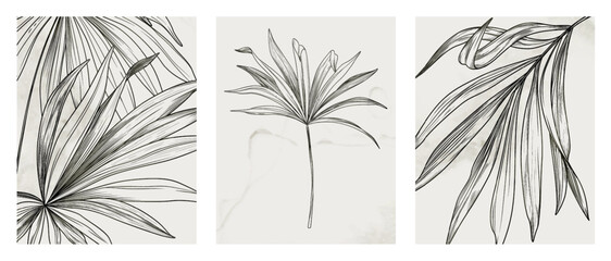 Wall Mural - botanical art background with tropical leaves in sketch style with elements of hand-drawn line. set 