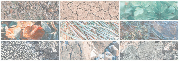 Wall Mural - Set of panoramic natural backgrounds. A collection of background textures including photos of rock surfaces, tree trunks, cracked ground, grass and frost-covered leaves. Bundle of wide backgrounds.