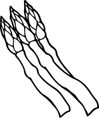 asparagus outline line art illustration, coloring book page