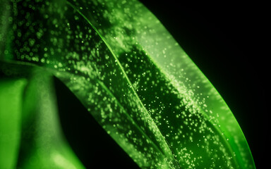 Poster - Green glowing particles in glass geometry, 3d rendering.