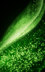 Poster - Green glowing particles in glass geometry, 3d rendering.